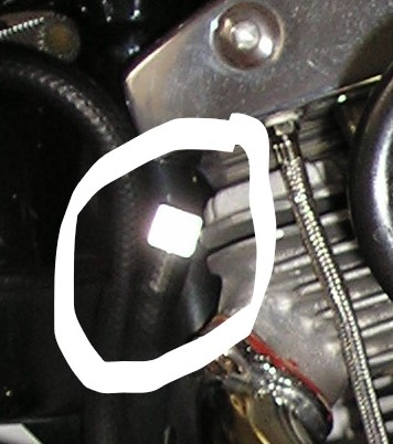 Inked Catch-can small.jpg