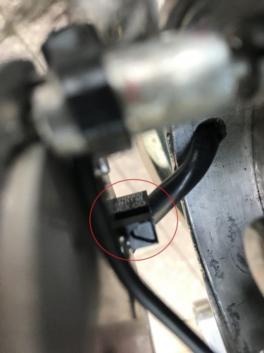 IMG_1595-mit kreis 1.jpg