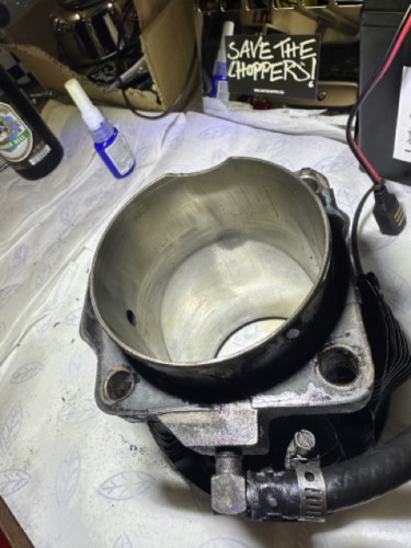 Mittel (IMG_0704).jpeg