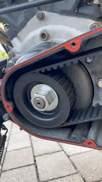 image.gif