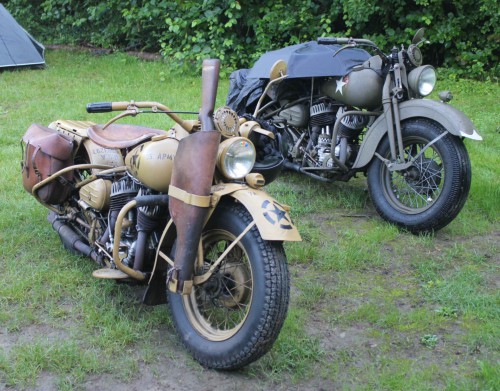 2023-08-25-Flathead-Run-08.jpg