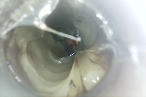 Schwinge links 1.jpg