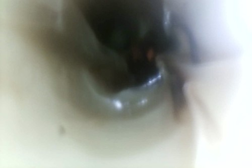 Schwinge links 2.jpg