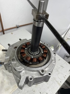 Klein (IMG_3611).jpeg