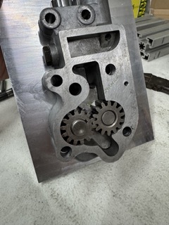 Klein (IMG_4146).jpeg