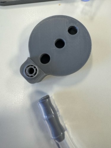 Mittel (IMG_5842).jpeg