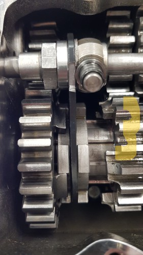 1ter Gang eingelegt.jpg