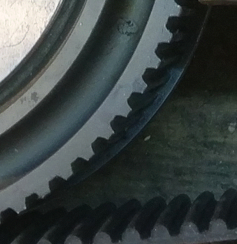 IMAG0020.gif