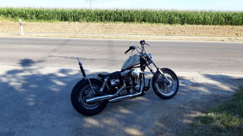 20200801_091129.jpg (942.63 KiB) 1092 mal betrachtet so geworden ;)